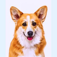 Corgi Lovers Community(@_corgicommunity) 's Twitter Profile Photo