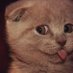 Кравчук (@haha112255) Twitter profile photo Кравчук (@haha112255) Twitter profile photo