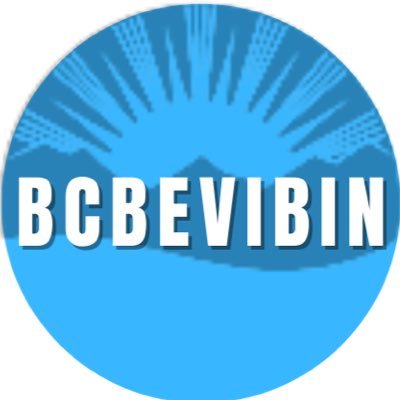 bcbevibin Profile Picture