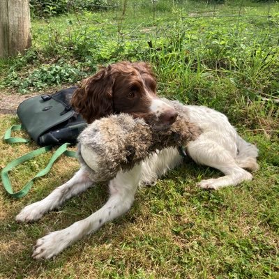 DeanJJ7's profile picture. 