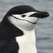 Onbu_'s profile picture. Random Finnish Warhammer 40K , jidaigeki, anime and manga fan.