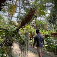 beauxman (@bows0) 's Twitter Profile