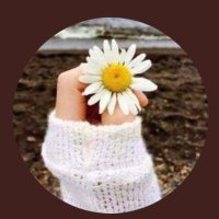 صِبا 🕊 (@seba_144) Twitter profile photo