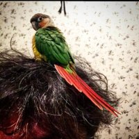 樋口真嗣 (@shinji_higuchi) 's Twitter Profile Photo
