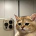 Benji (@benjidoesarts) Twitter profile photo Benji (@benjidoesarts) Twitter profile photo