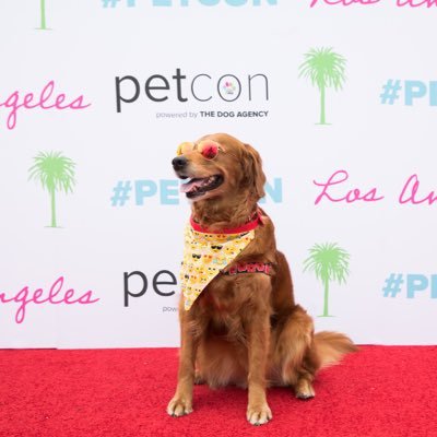 Petcon 2023 Chicago was a massive success! Stay tuned for announcement of date and location of Petcon 2024! powered by @thedogagency