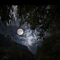 أ. امجد عبدالمجيد (@tmam4me) 's Twitter Profile