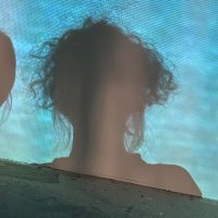 anna y lin (@iguannalin) 's Twitter Profile
