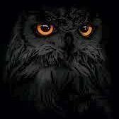 owlofbeacon's profile picture. 