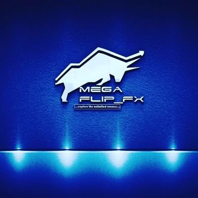 MegaFlip_Fx🎖️🎖️ Profile