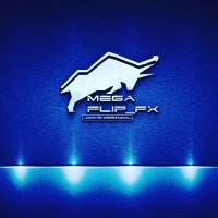 MegaFlip_Fx🎖️🎖️ (@megaflip_fx_) 's Twitter Profile