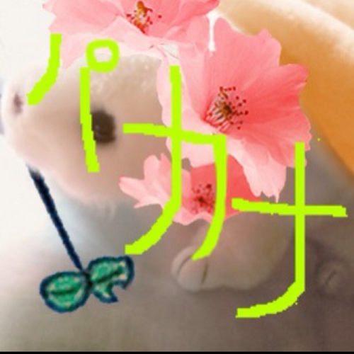 pakana's profile picture. ときどきpost多過ぎ
指の関節ほぼ全て痛めた+肩痛めてる