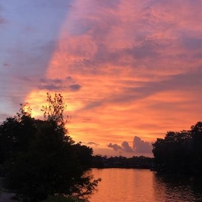 BrowningKa17448's profile picture. 