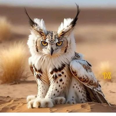 jburney512's profile picture. 