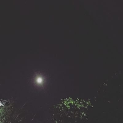 olllolllolllo's profile picture. 