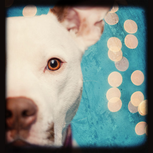 phantomphoto's profile picture. Photographer & graphic designer extraordinaire!