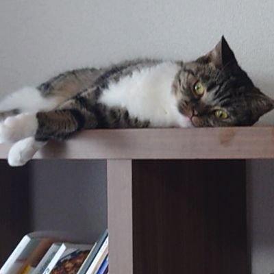 7Omn0p0I4Fm8AVr's profile picture. 2021年4月開業。介護業をメイン顧客として社会保険労務士・行政書士をやらせていただいています。障害福祉や保育園にも手を広げていきたい。