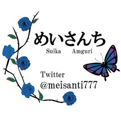 めいさんちさんのプロフィール画像