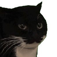 vkf45ptxxd's profile picture. 