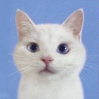 jdi maba itu keren🤷 (@siprajin) 's Twitter Profile Photo jdi maba itu keren🤷 (@siprajin) 's Twitter Profile Photo