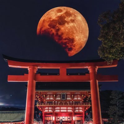 shin_11216405's profile picture. koです