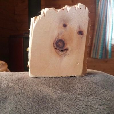 MaikkiPampula's profile picture. Kaikki ryönä täällä on avustajani kirjoittamaa