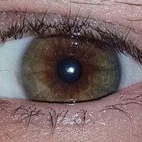 Martin AKA CzechM8 (@martin74966152) 's Twitter Profile