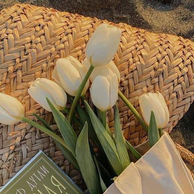 pox_tha's profile picture. 