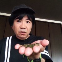 Hidekun,searching nice cancer protection & fighter(@Hk2000Japan) 's Twitter Profile Photo