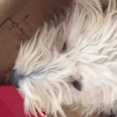 jefferaybin's profile picture. 