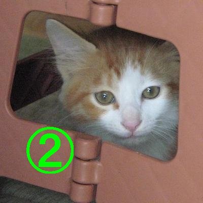 hitomihcx2's profile picture. ひとみ(@hitomihcx)のサブ垢です。
sub-account of ひとみ(@hitomihcx)

京都@嵯峨嵐山より、説明少なくさり気なく、
アラ還な♂がお届けします。
Less explanation than Kyoto, casually.
Around 60th birthday ♂.