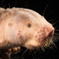 AgingBiology (@agingbiology01) 's Twitter Profile Photo AgingBiology (@agingbiology01) 's Twitter Profile Photo