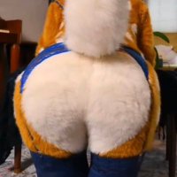 Gassy Furry Fan Page (@gassyfurryfan) 's Twitter Profile