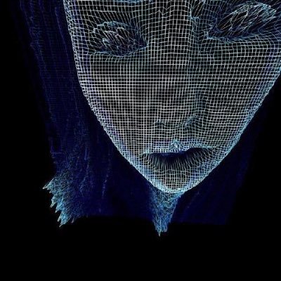 dxo1312's profile picture. Making Solidity Great Again | @argotorg |  she/they.