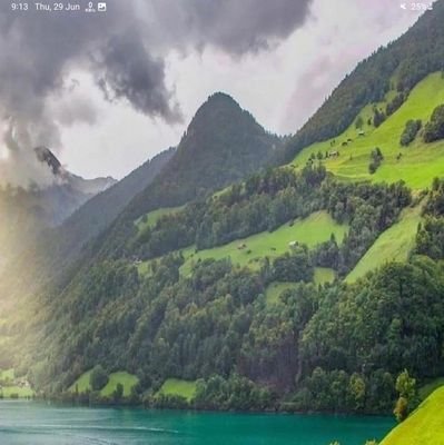 standardintro's profile picture. substantial/investor/trader