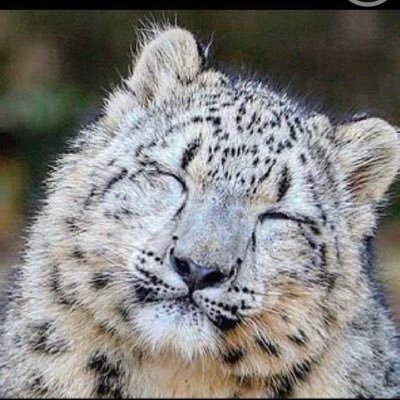 公共の福祉とは社会全体の共通の利益でありほかの人の人権との衝突を調整するための原理です。 この公共の福祉という言葉は,日本国憲法の中で使われています。 日本国憲法では,基本的人権が保障されています。 基本的人権には平等権、自由権、社会権などがあり,さまざまな権利が認められています。日本人、憲法守れ。