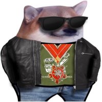 POL_Woj (@polwoj) 's Twitter Profile Photo