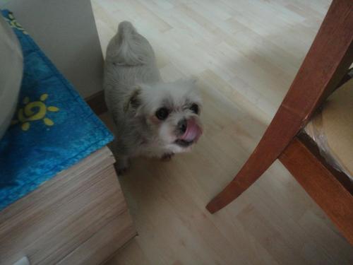 dearrowj's profile picture. 