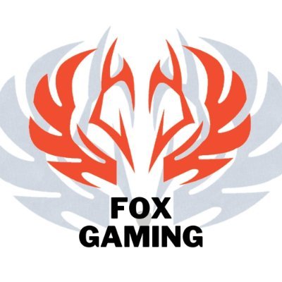 Fox Gaming Zone gives you great Gaming experience at affordable price.
Here you can take your gaming to the next level with our high-end Gaming PCs