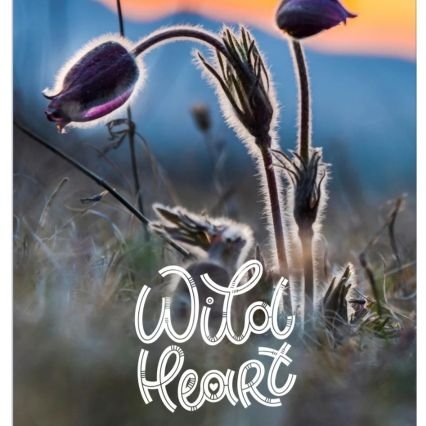 wild_heart93232's profile picture. Living the dream, one step at a time