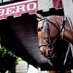 CaballodeCubero (@caballodecubero) Twitter profile photo CaballodeCubero (@caballodecubero) Twitter profile photo