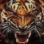 kawhi6key's profile picture. 