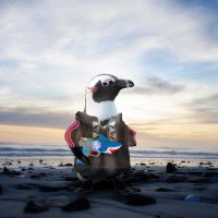 Penguinfella (@lorenarries) 's Twitter Profile
