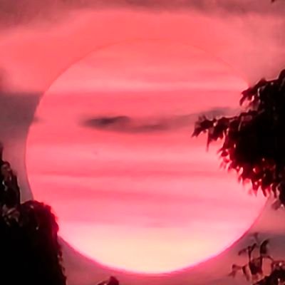 pal286439726563's profile picture. 