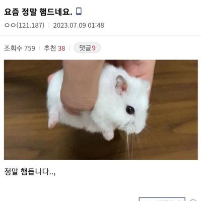 판매계정