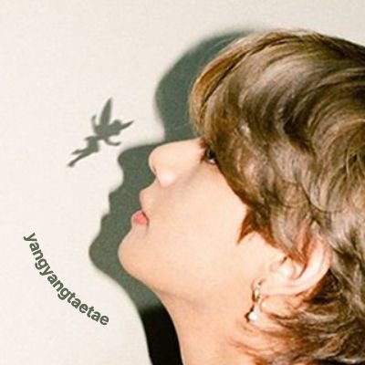 냥냥태태 •ᴗ• ᩚ Profile