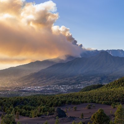 Agencia Canaria de Noticias y Audiovisuales. Profile