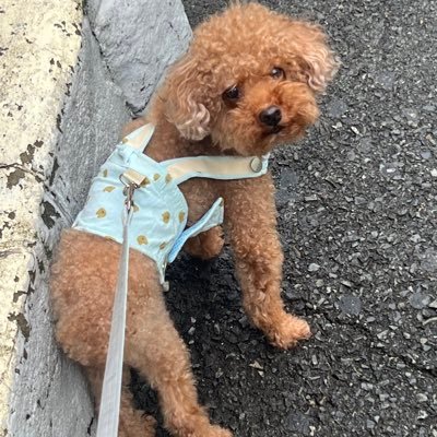 aiueo406's profile picture. 