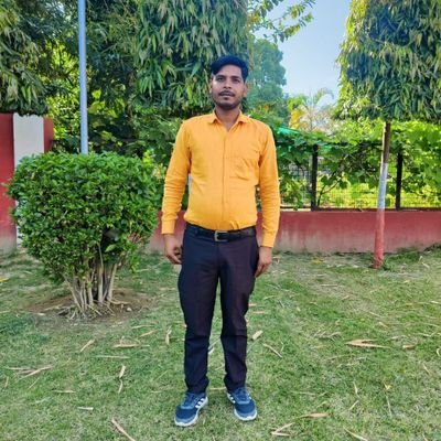 Sarvesh56536353's profile picture. 