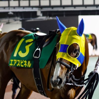 LEPUSのリーダー的な「何か」/ディバイドバトル2ndセッションファイナル4位/ビルディバイドと競馬が好きなただの大学生